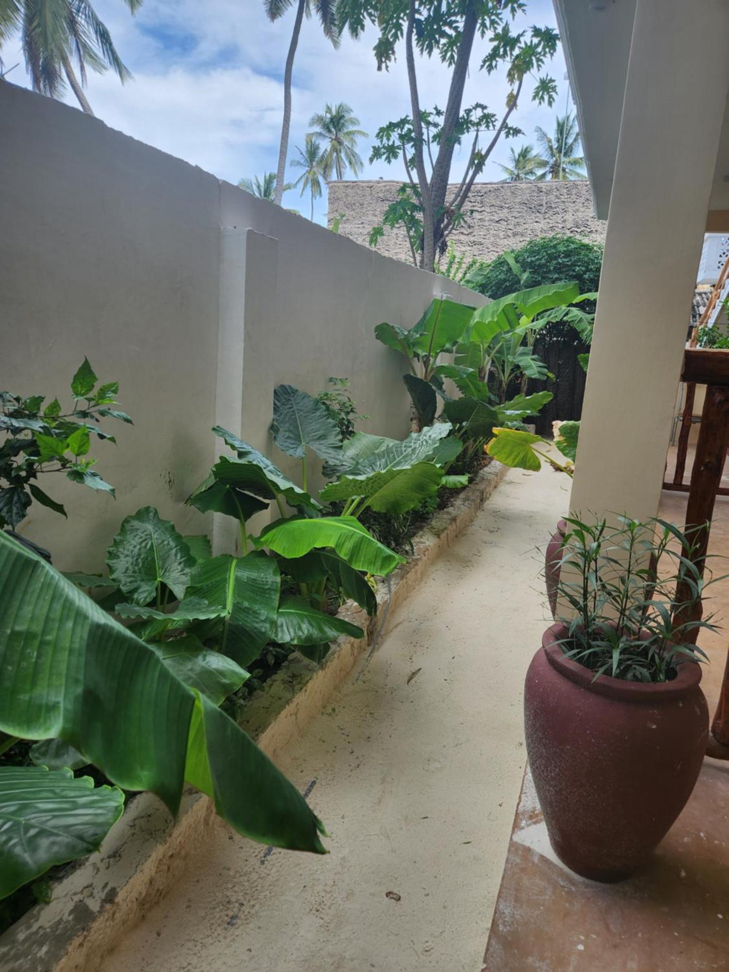 Two Palms Hotel Jambiani  Ngoại thất bức ảnh