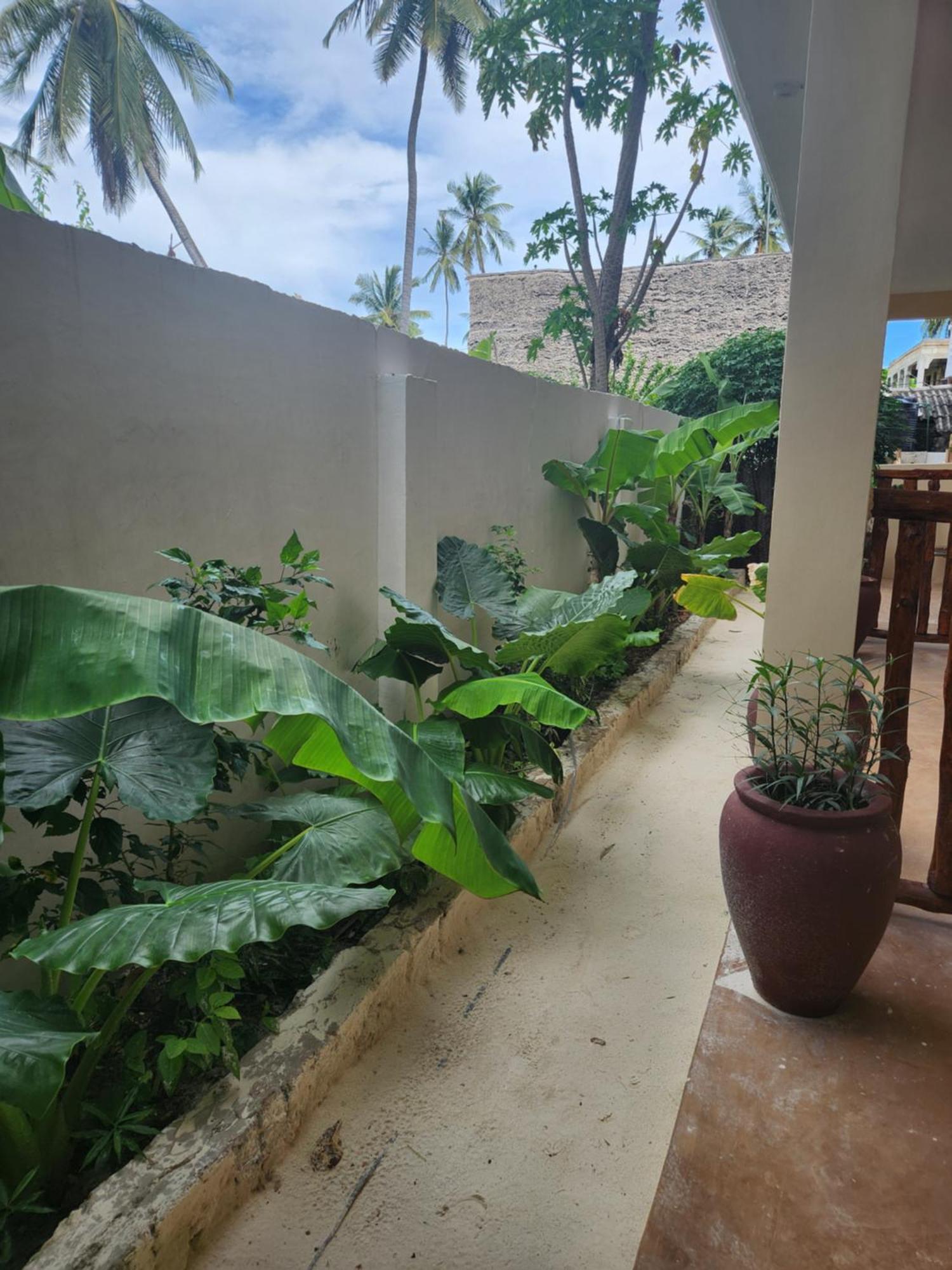 Two Palms Hotel Jambiani  Ngoại thất bức ảnh