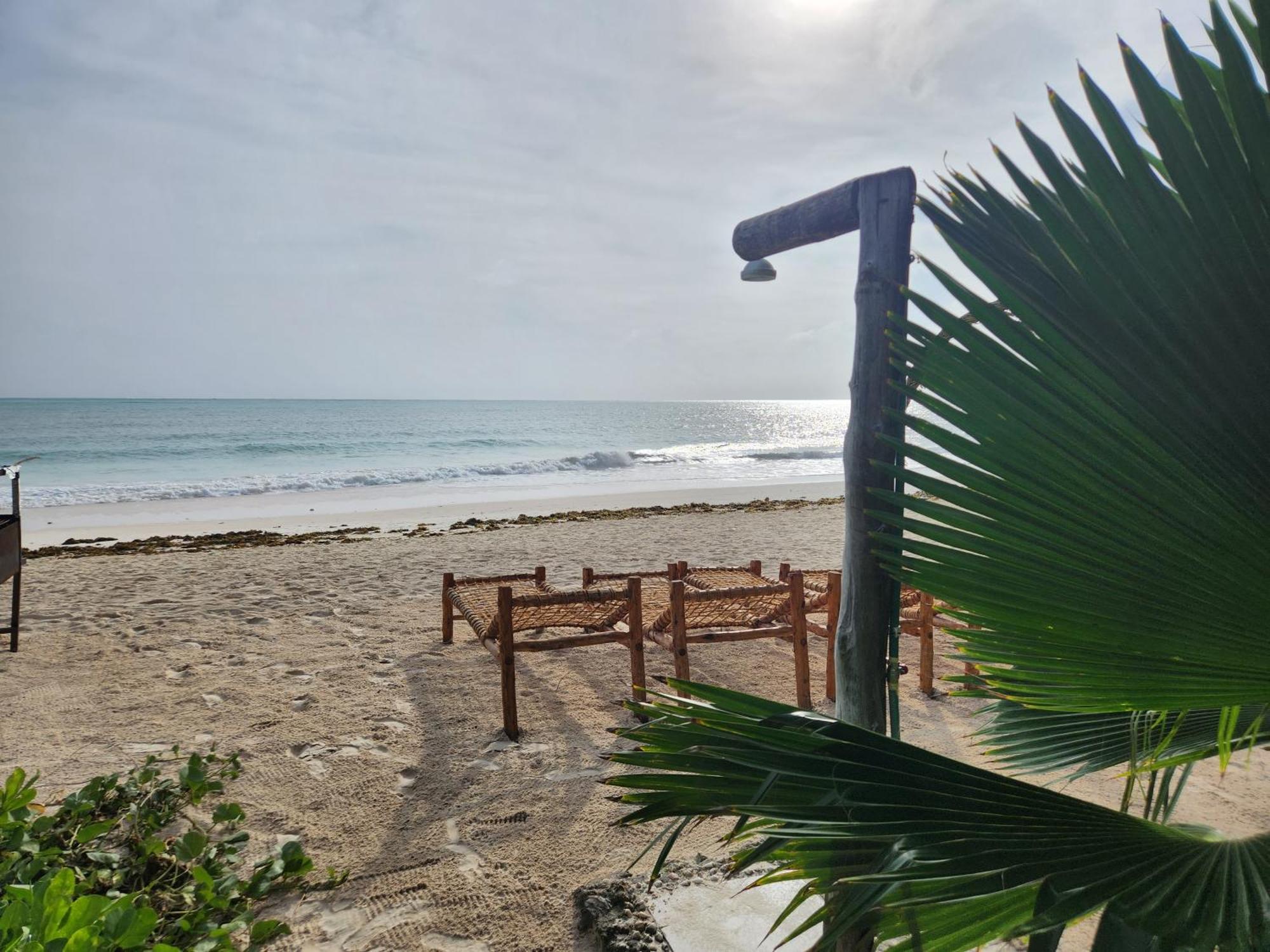 Two Palms Hotel Jambiani  Ngoại thất bức ảnh