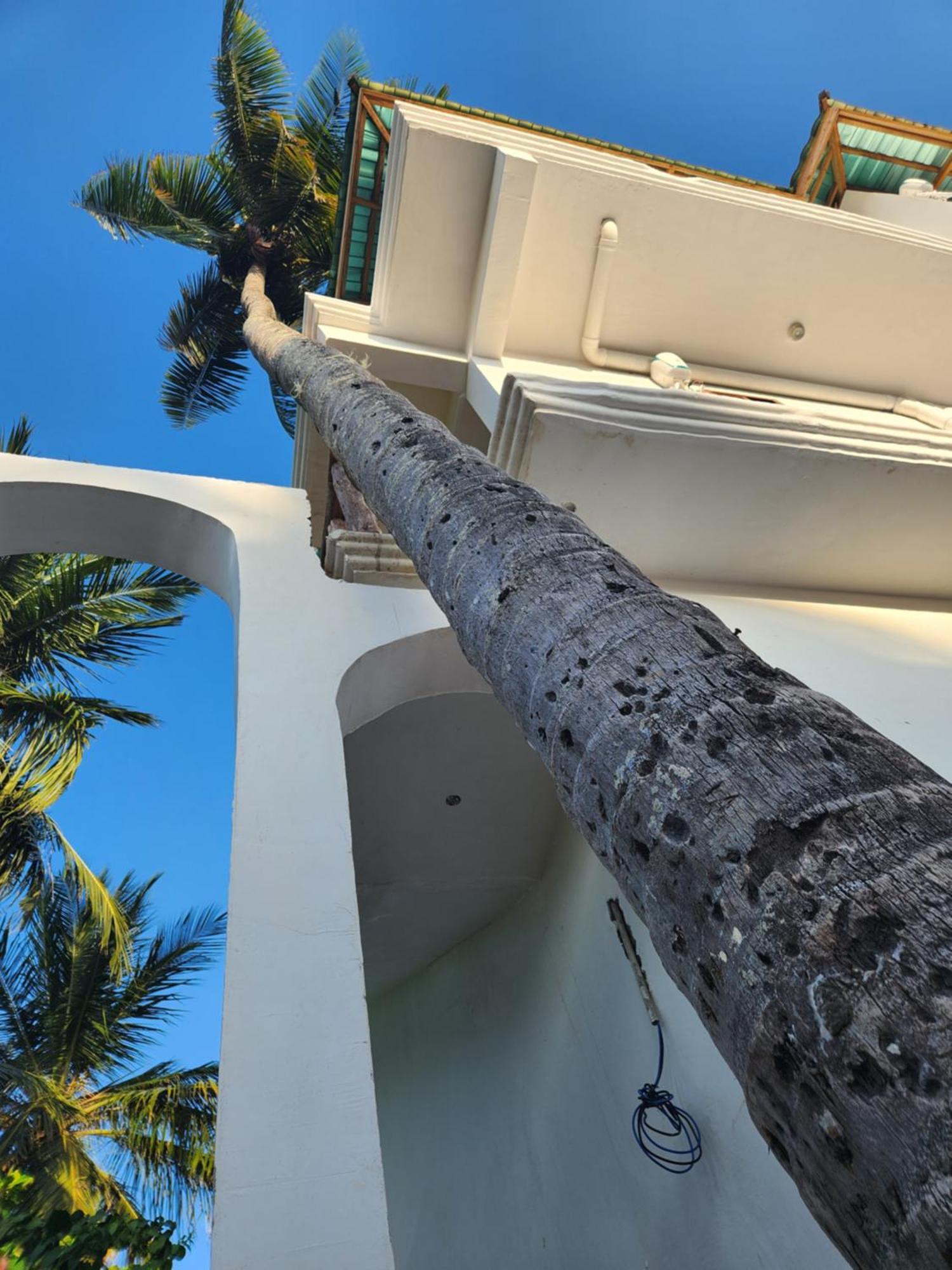 Two Palms Hotel Jambiani  Ngoại thất bức ảnh